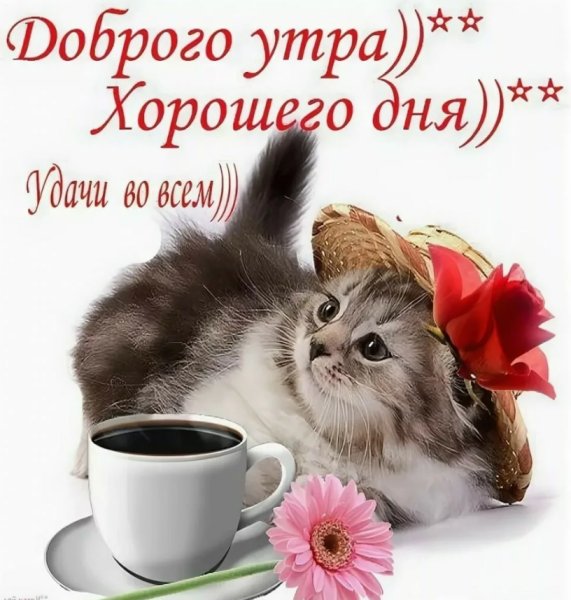 Доброго утра м хорошего дня