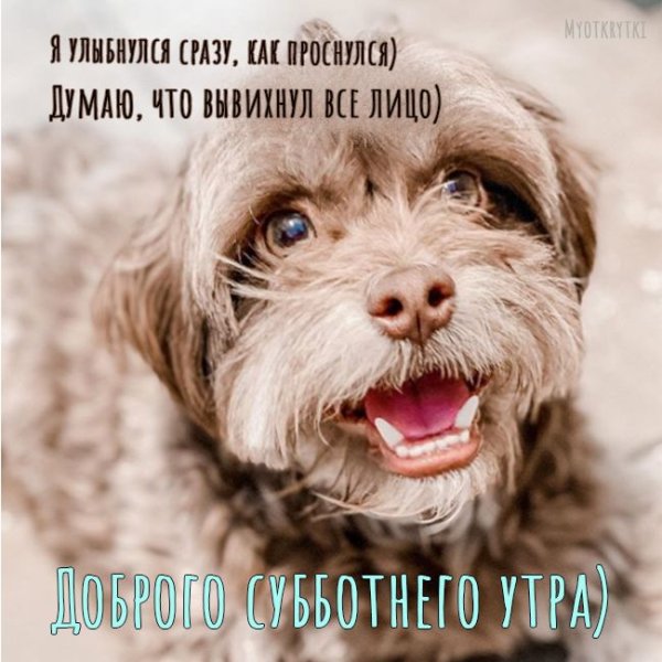 Доброе утро субботы прикольные