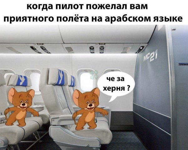 Пожелания приятного полета