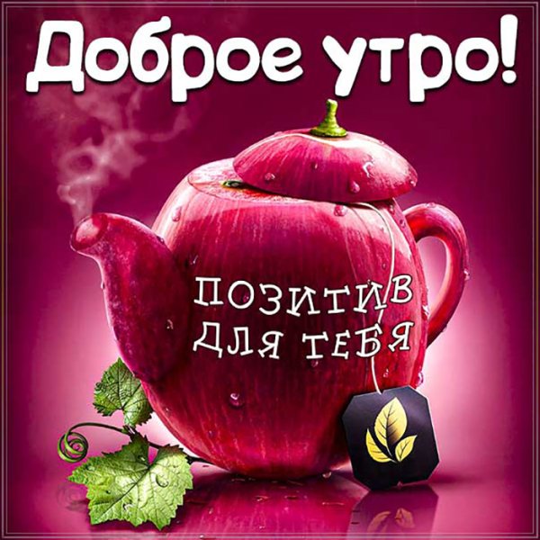 С добрым утром прикольные открытки с надписями