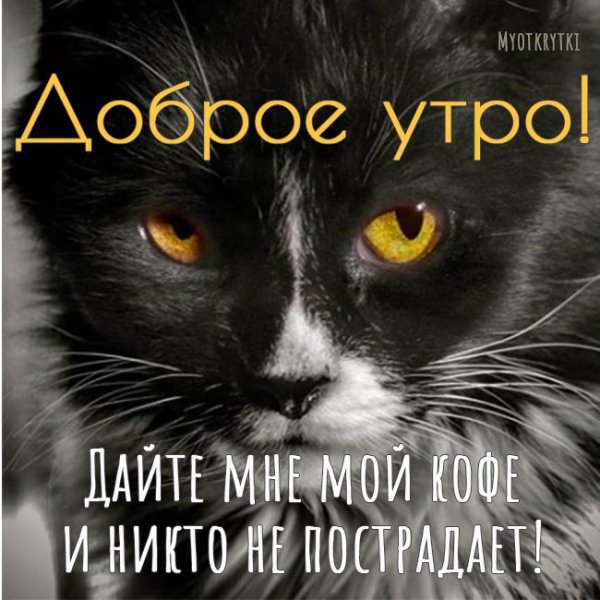 Добро утро понедельника