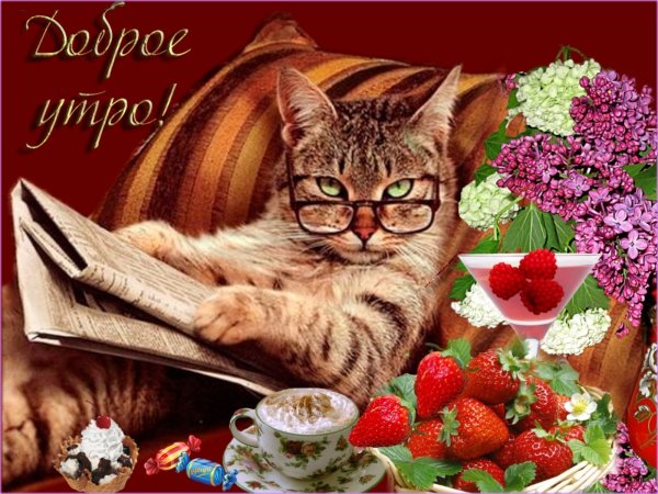 Доброе утро и отличного настроения