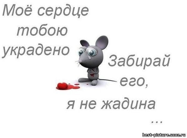 Статусы про любовь прикольные