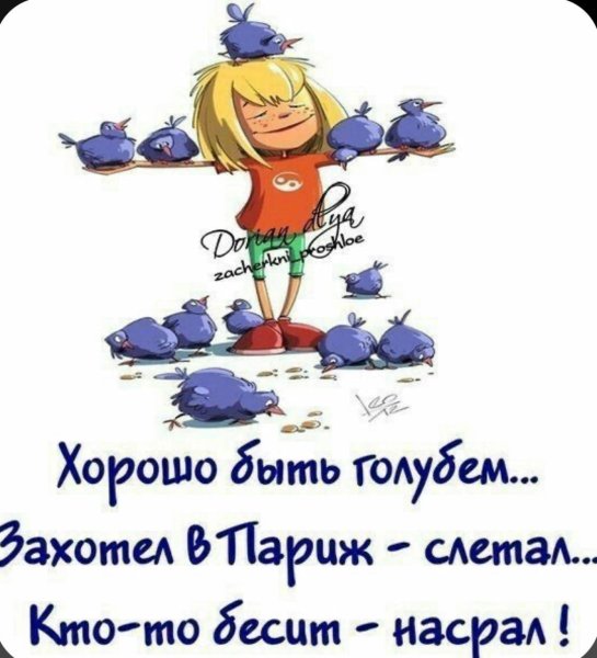 Хорошего настроения юмор