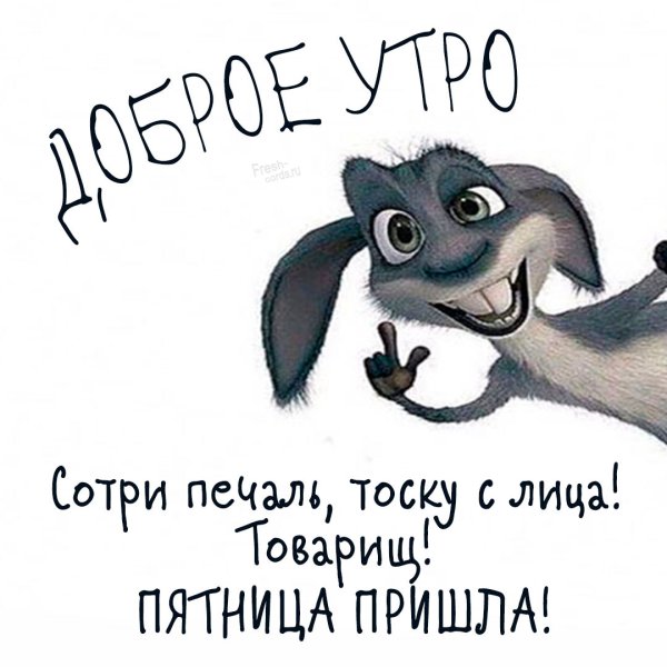Весёлые поздравления с утра