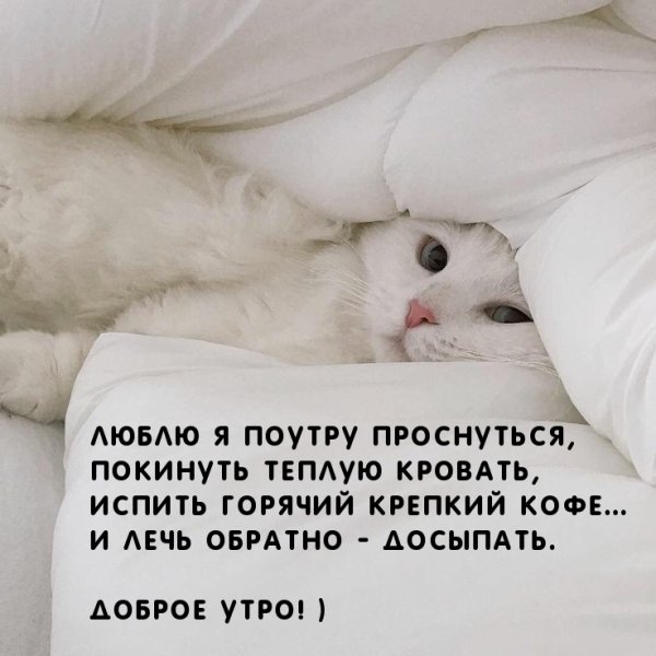 Проснулись доброе утро