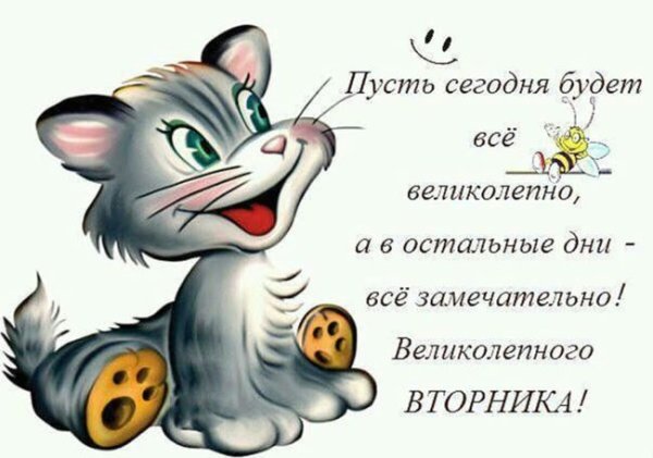Открытки со вторником прикольные