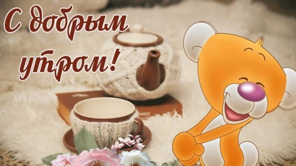 Смешные пожелания с добрым утром