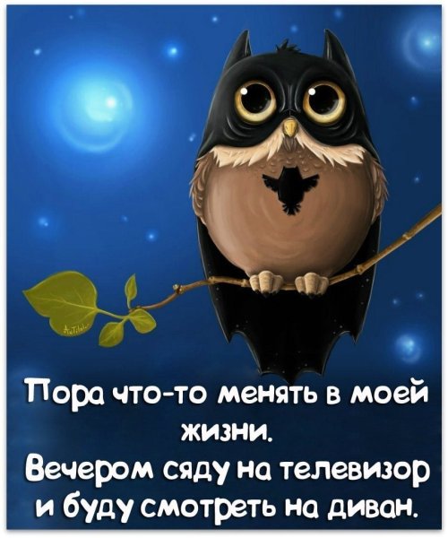 Позитивные высказывания