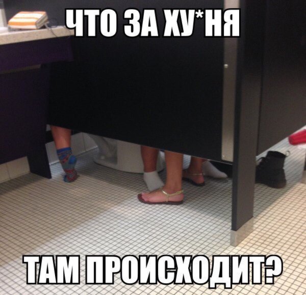 Картинки прикольные смешные с надписями