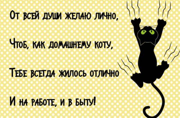 Прикольные пожелания