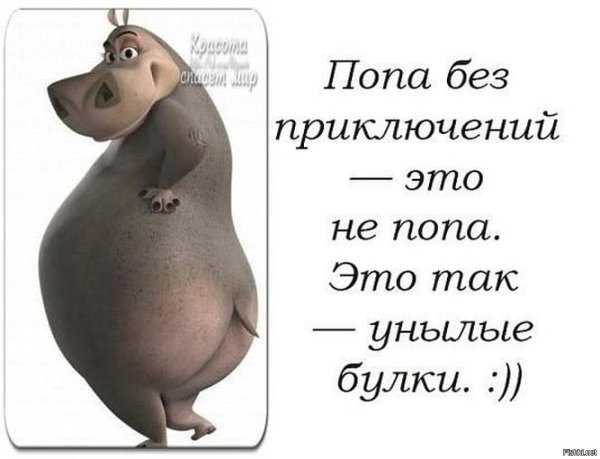 Анекдоты про приключения на пятую точку