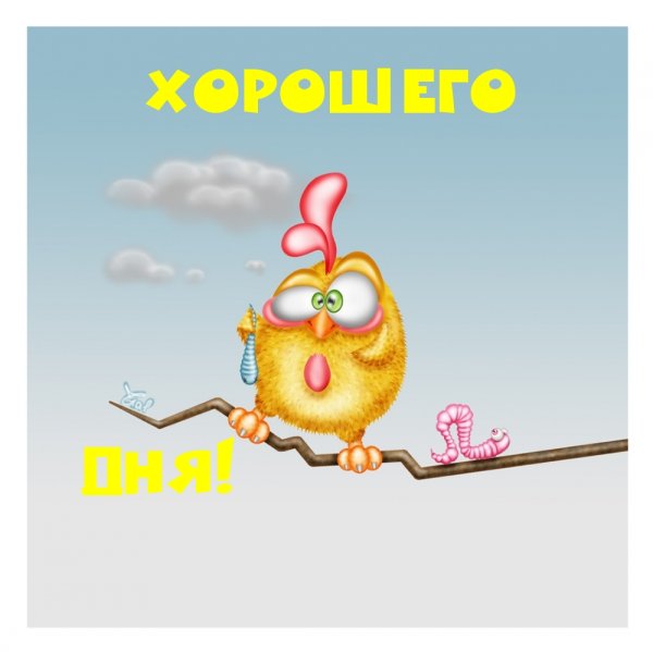 Хорошего дняприколтные