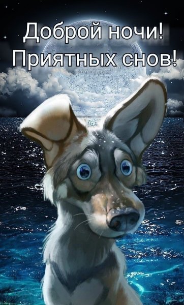 Доброй ночи прикол