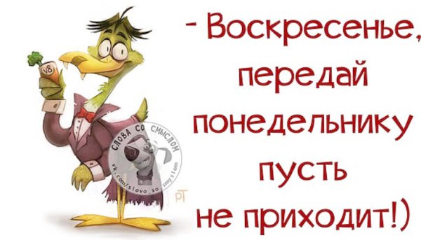 Смешные картинки про воскресенье