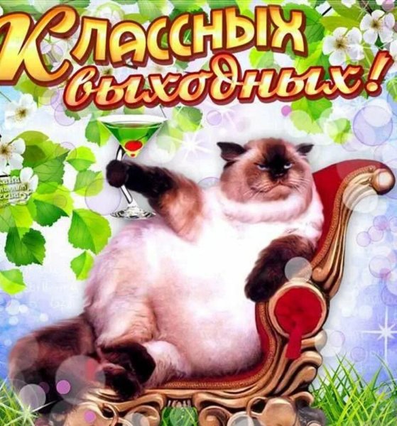 Счастливых выходных