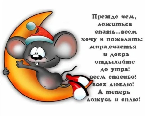 Смешные пожелания доброй ночи