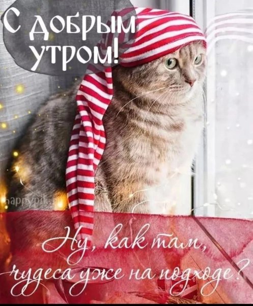 С добрым зимним утром