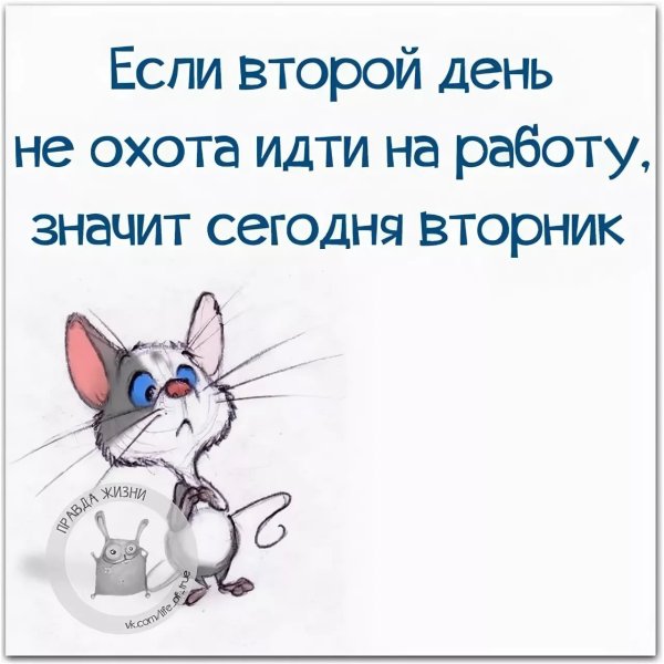Прикольные фразы про вторник