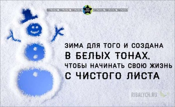 Открытки смешные для поднятия настроения зимние