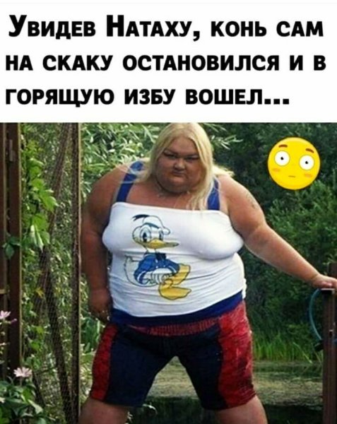 Ищу мужа прикол