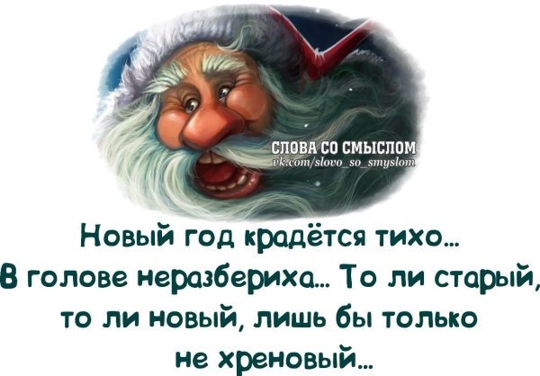Афоризмы про новый год прикольные