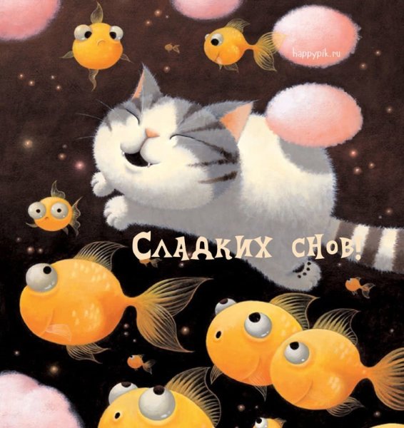 Смешные пожелания доброй ночи