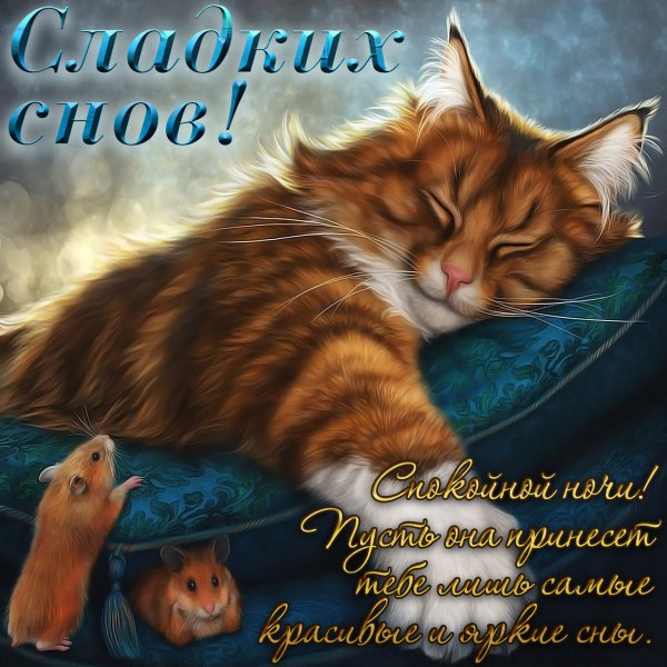 Сладкой ночи