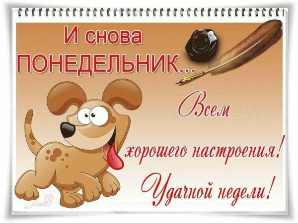 Шутки про понедельник