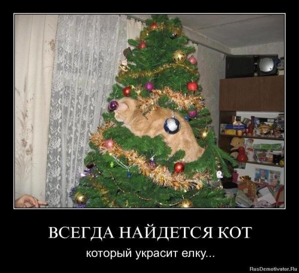 Шутки про елку