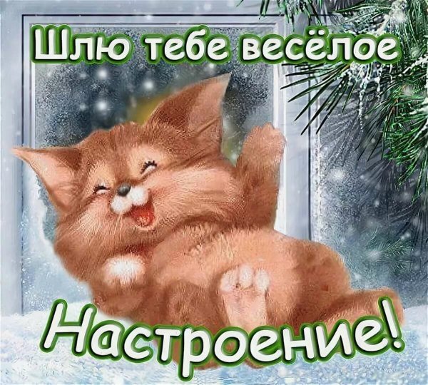Открытки для поднятия настроения мужчине