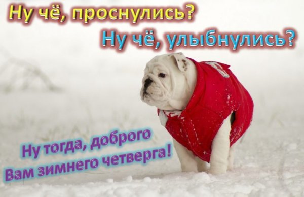 С добрым зимним утром четверга