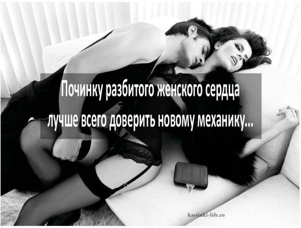 Смешные фразы про отношения