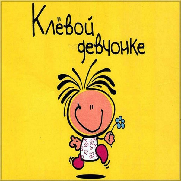 Смешные открытки