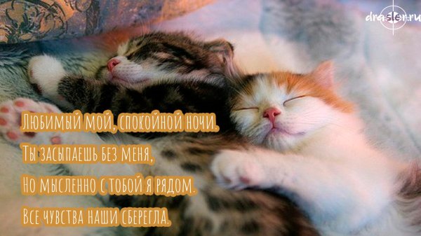 Сладких снов любимому