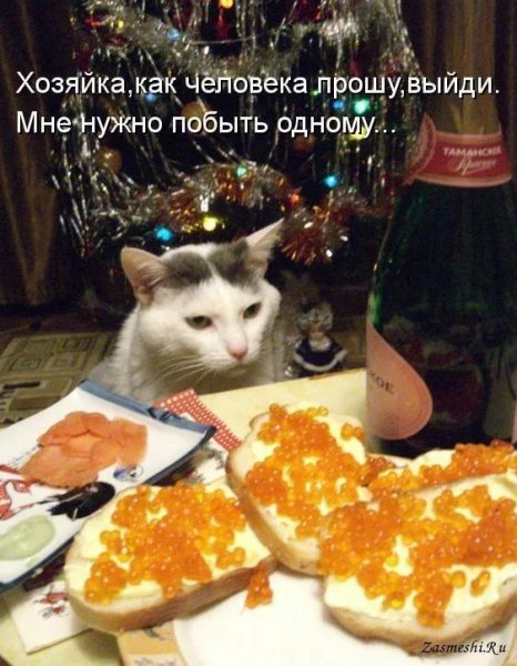 Новогодний стол юмор