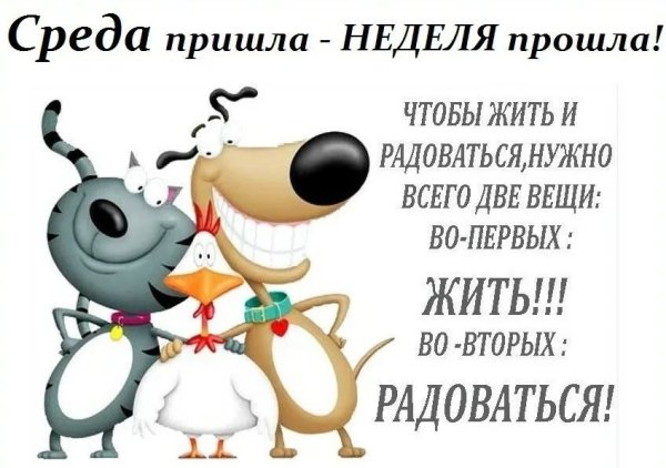 Весёлые открытки для поднятия настроения