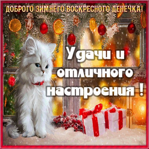 Отличного воскресного зимнего дня открытки