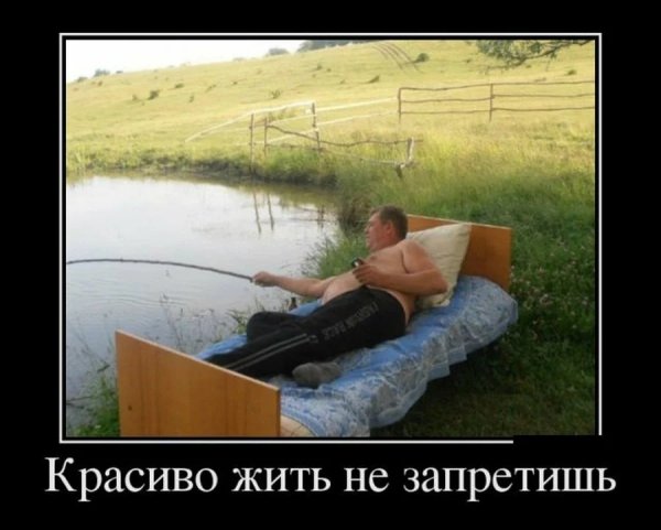 Красиво шить не запретишь юмор