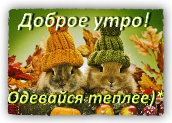 Открытки с добрым холодным утром