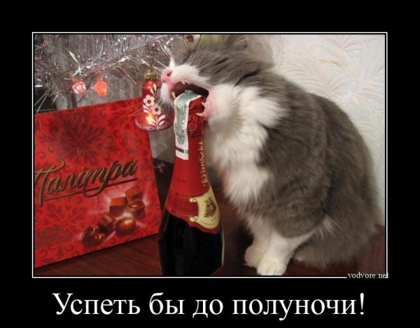 Новогодняя Котоматрица