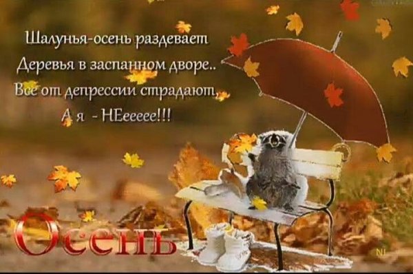 С добрым осенним утром с юмором