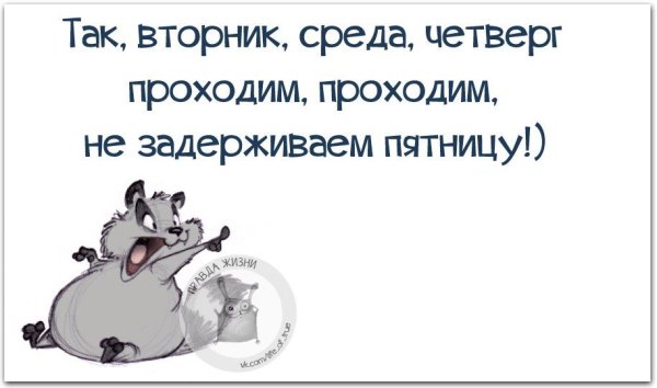 Смешные высказывания про вторник