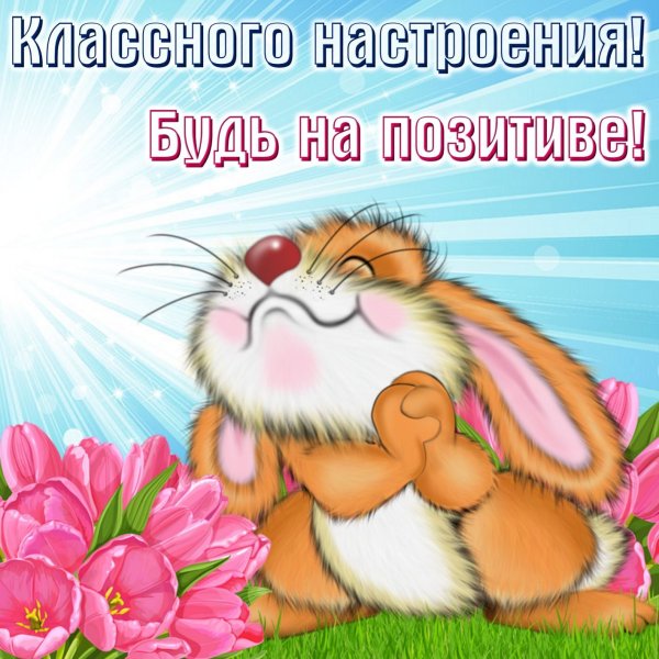 Поздравления с хорошим настроением