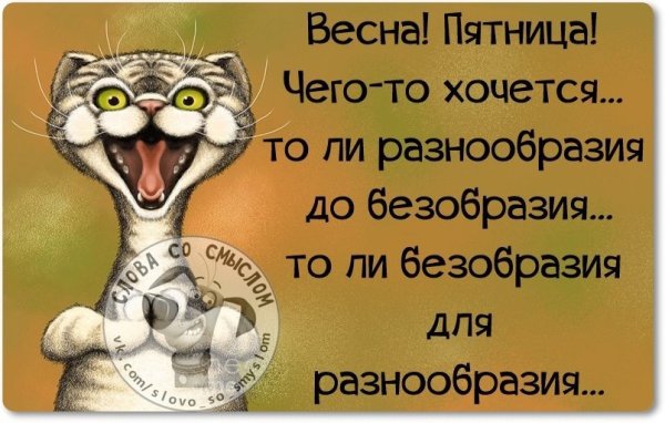 Высказывания про пятницу