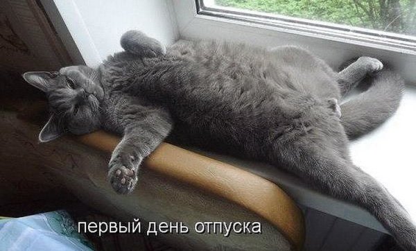 Сперавм днем отпуска прикольные