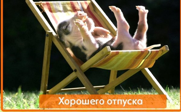С первым днем отпуска прикольные