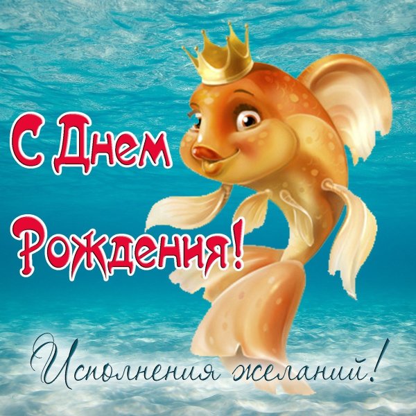 Смешные открытки с днем рождения