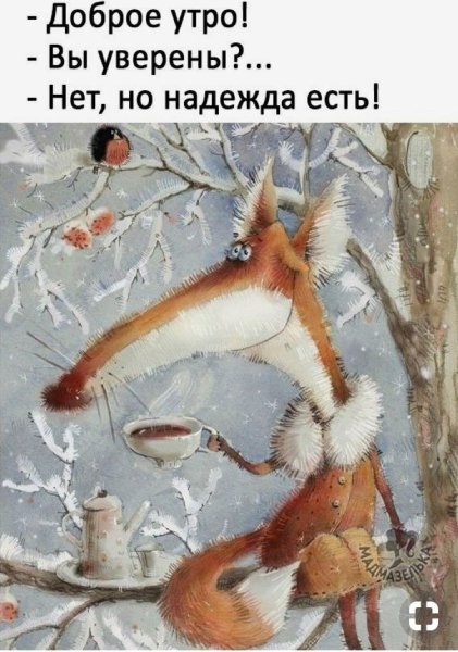 Доброе зимнее утро лиса