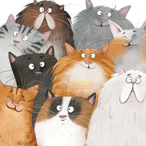 Много котов